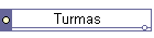 Turmas